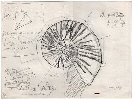 ''Probably a chambered nautilus''